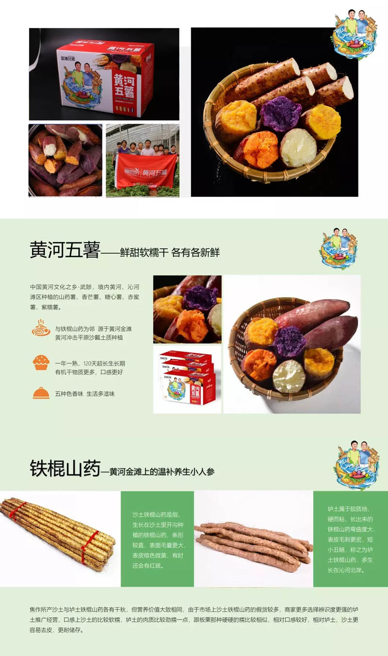 好一根铁棍山药20201216