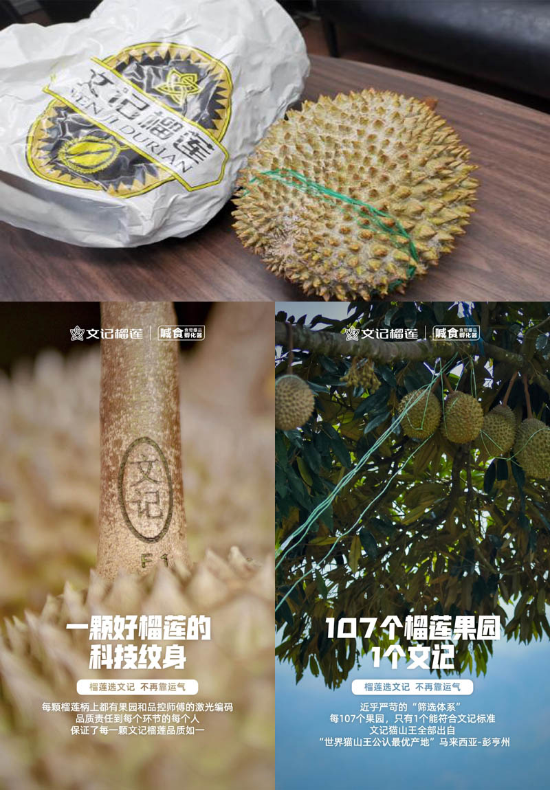 文记猫山王榴莲