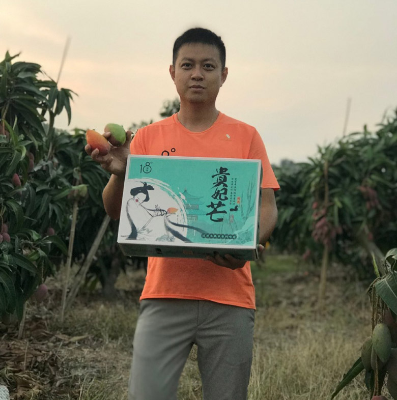 海南树上熟贵妃⁡芒