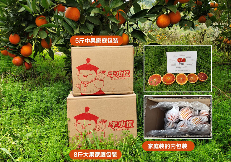 李小橙 重庆血橙2020311