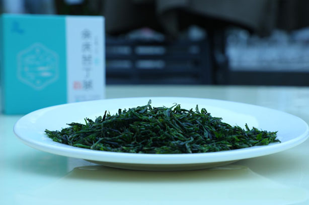 春茶 小叶苦丁茶