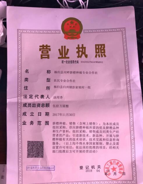 秭归县河畔脐橙种植合作社