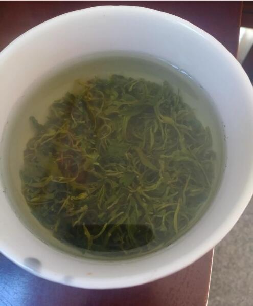 康庄园油茶专业合作社
