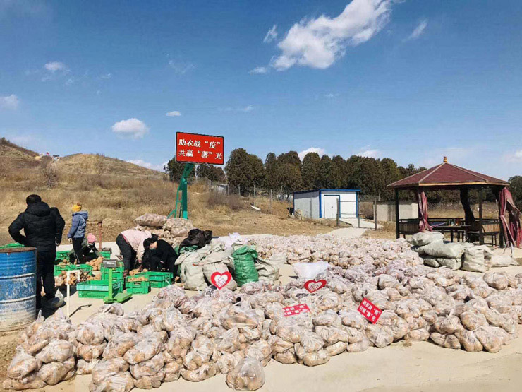 河北瑞熠天淀粉制造