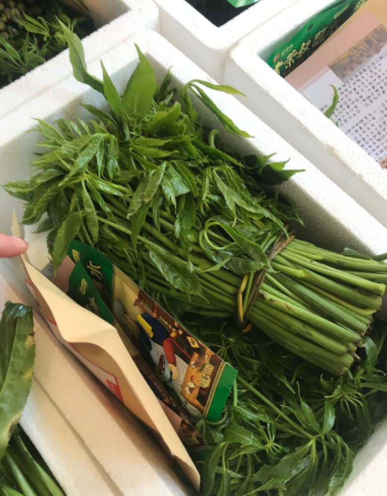临沧火镰菜 百淮有礼