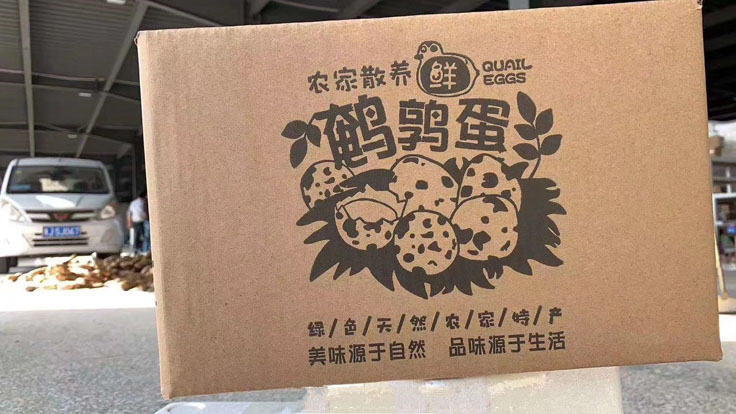 农家散养鲜鹌鹑蛋2020328