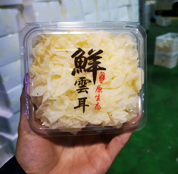深山鲜活银耳 果优鲜