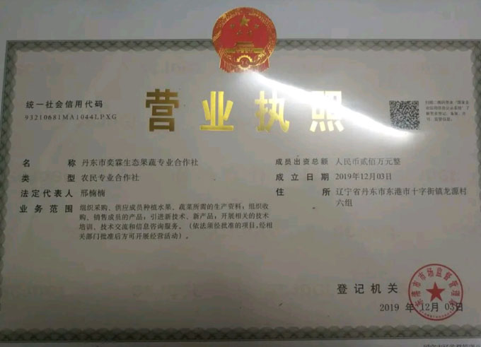 丹东奕霖生态果蔬合作社