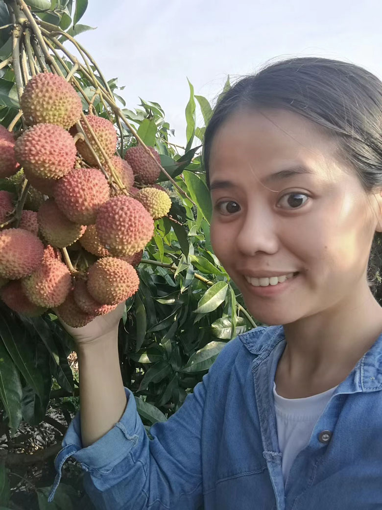海南荔枝