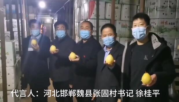 魏县鸭梨