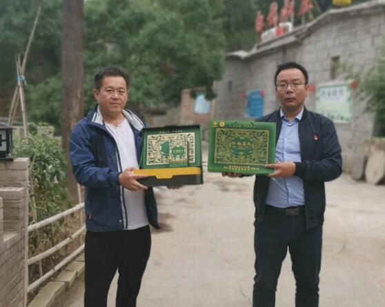 连翘茶 桑园村扶贫特色农产品