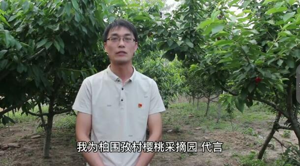 新蔡县柏围孜村果园樱桃