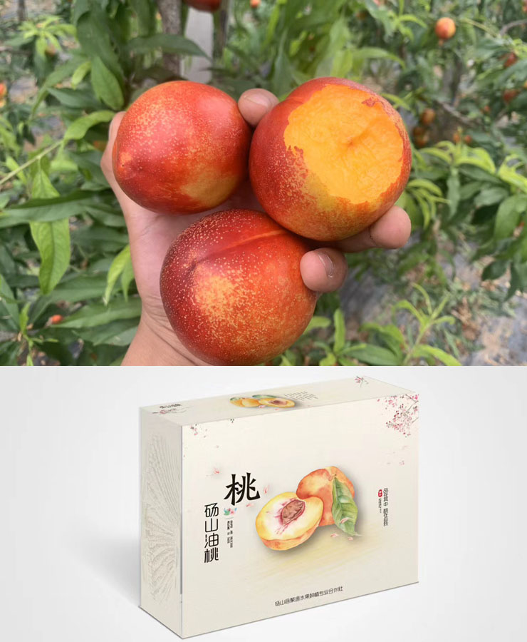 安徽砀山油桃