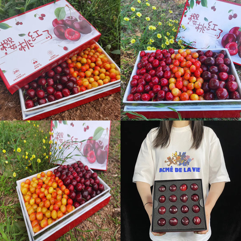 樱桃红了端午节系列礼盒2020616