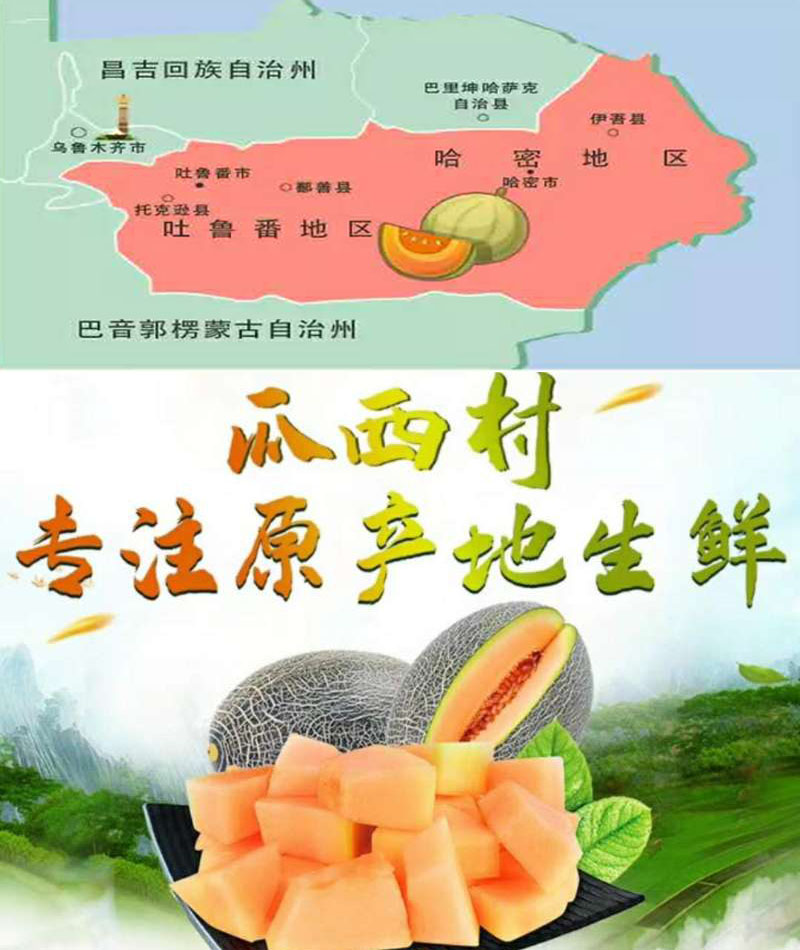 新疆哈密瓜