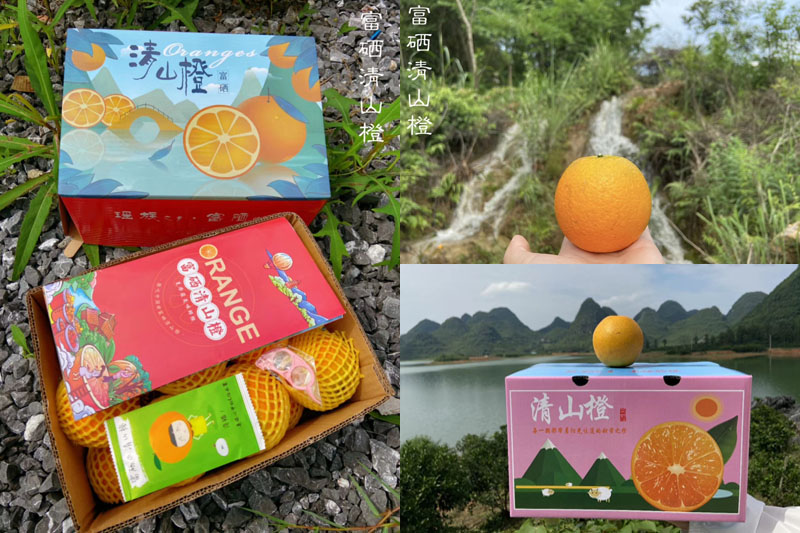 湖南富硒清山橙
