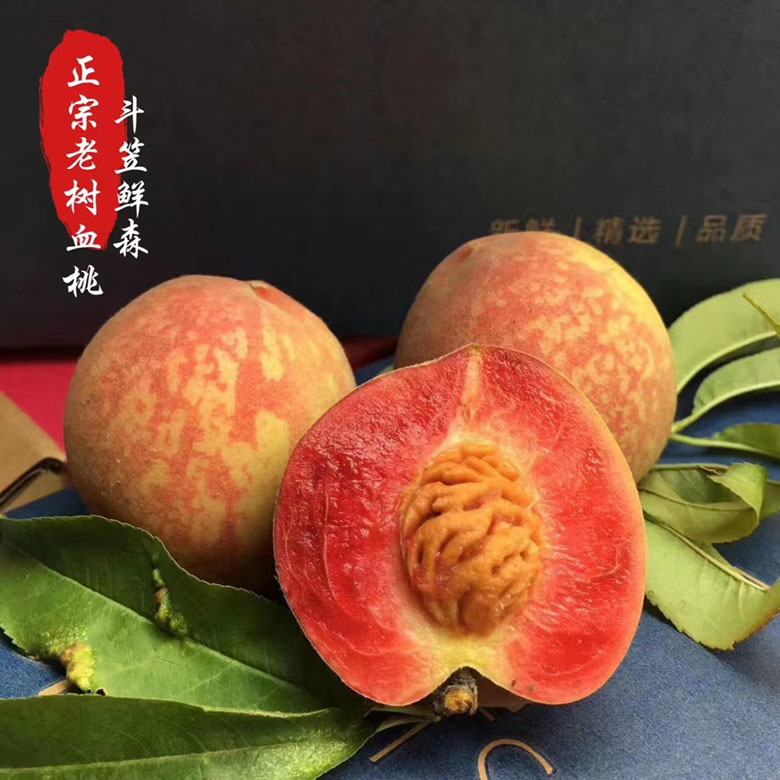 湖北血桃