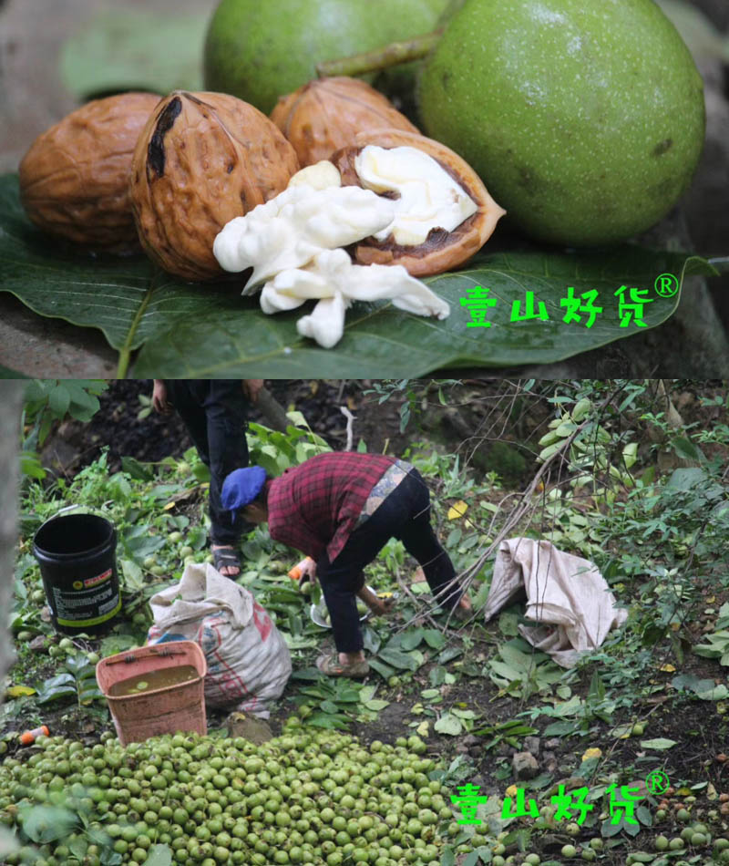 大凉山去皮新鲜核桃