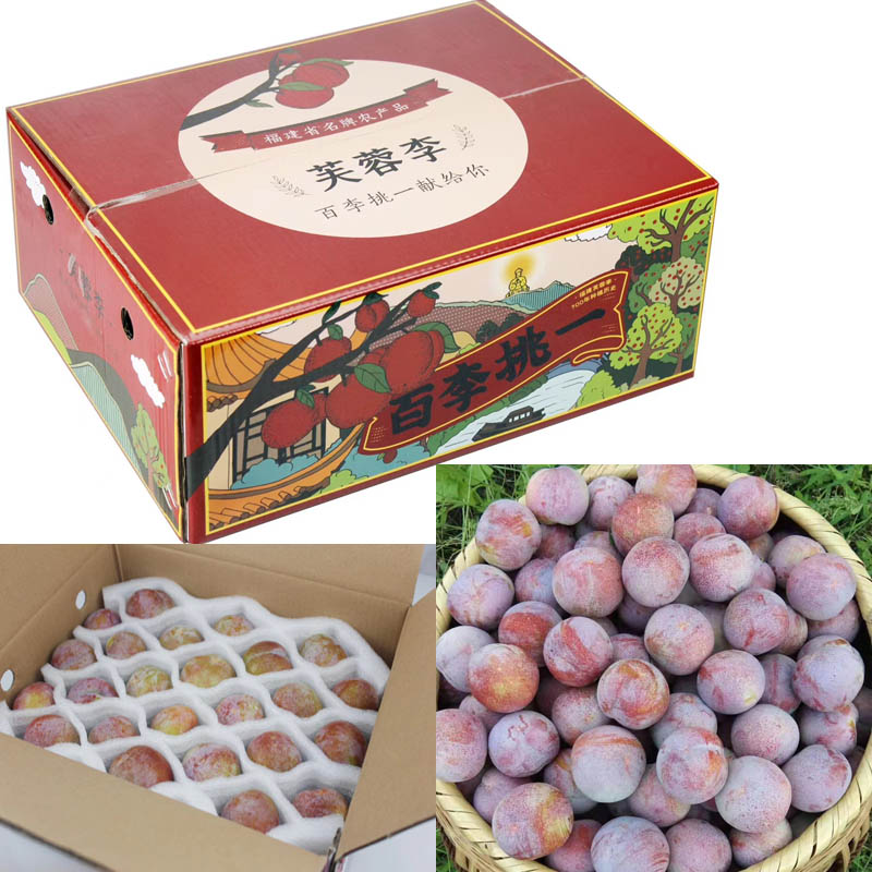 福建芙蓉李 果然有趣2020723