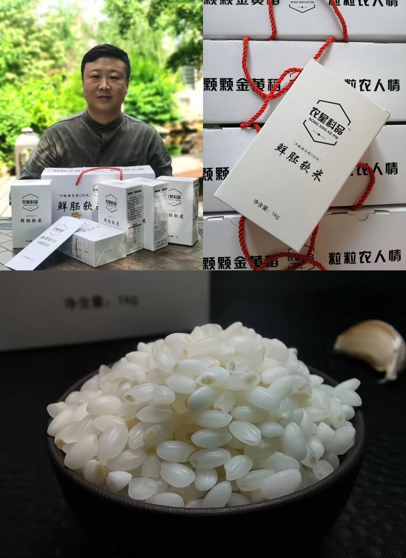 农星科品·鲜胚软米2020710