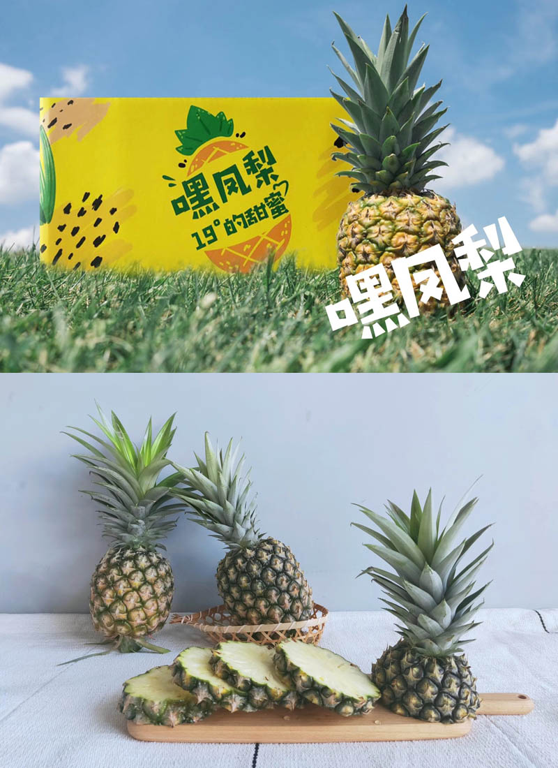 云南耿马金钻凤梨