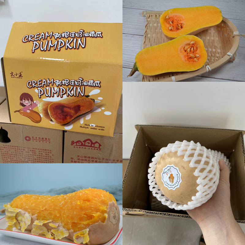 阿根廷奶油南瓜