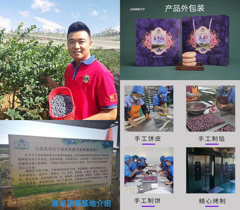 云南滇湖蓝莓饼、蓝莓酱和鲜果2020919