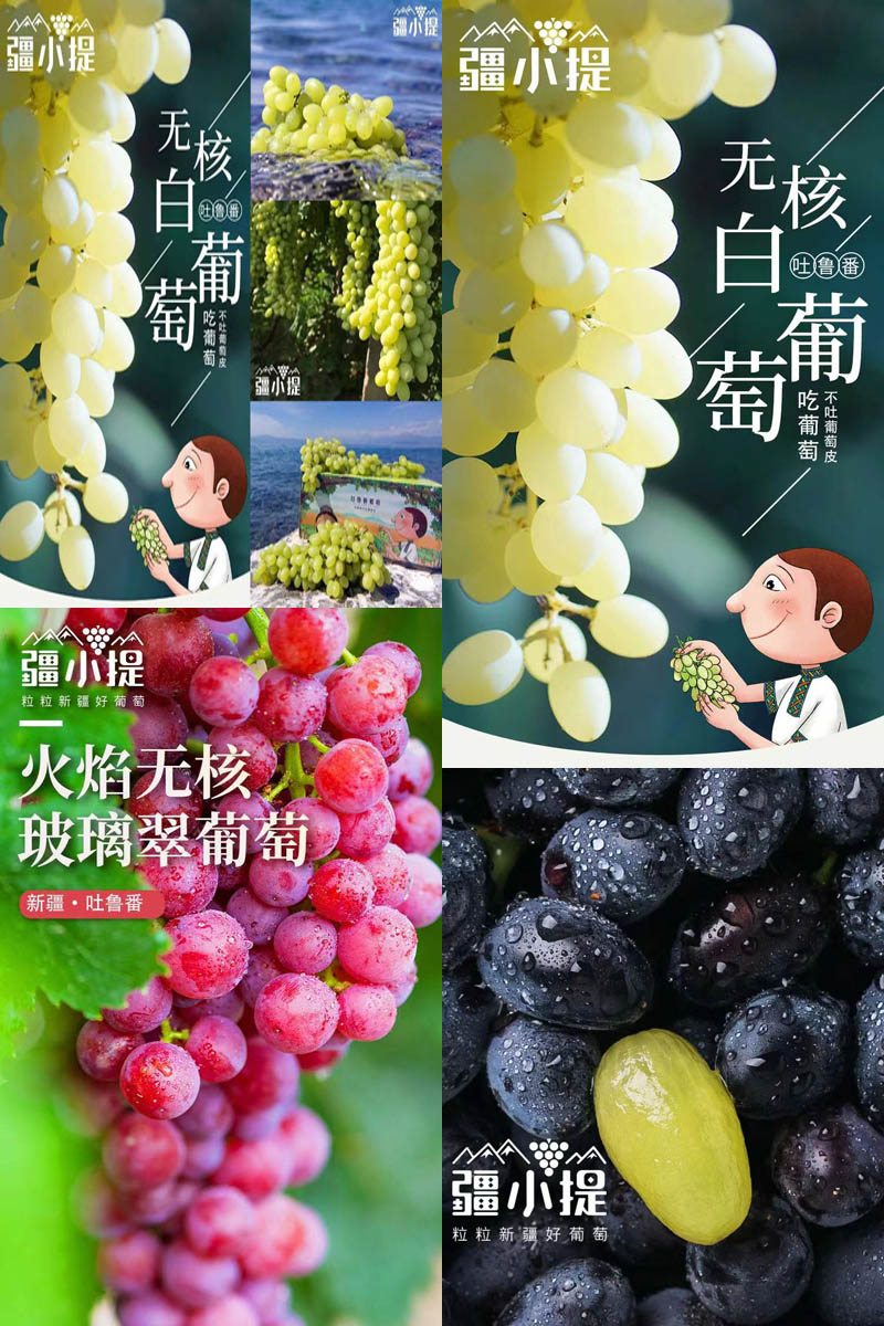 疆小提葡萄系列