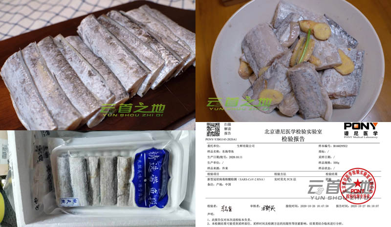 云首之地野生带鱼20210103