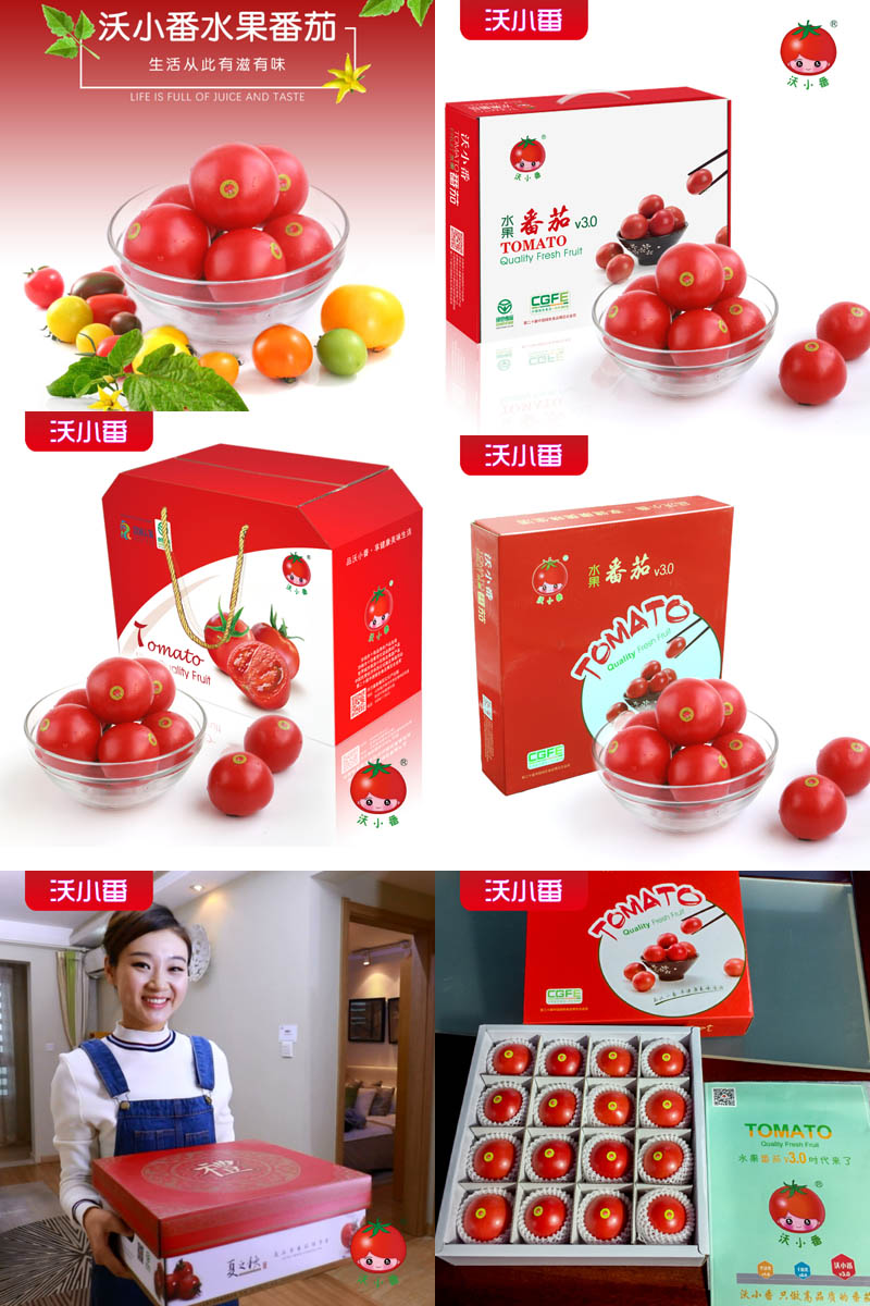 沃小番高品质水果番茄2021205