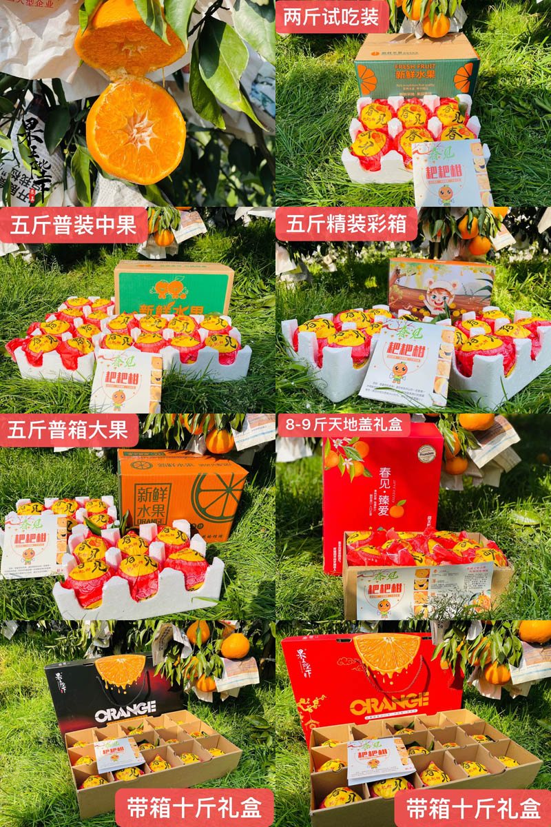 果王陛下丹棱春见耙耙柑20210123