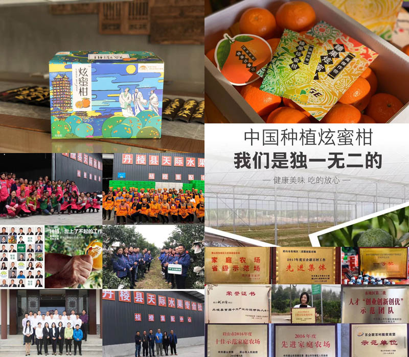 臻果炫蜜柑20210125