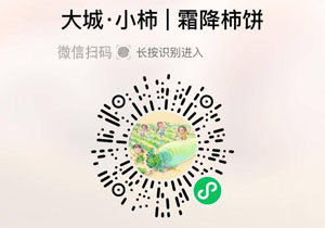 大城小柿®霜降富平柿饼20211221/果然