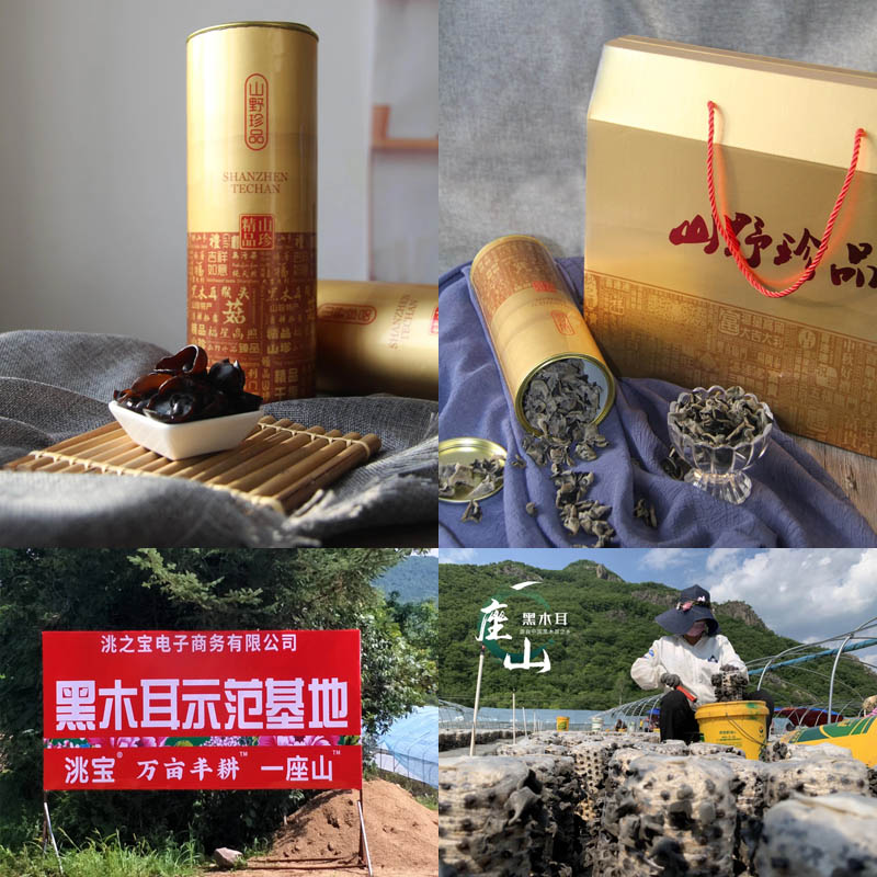 一座山汪清秋木耳20210105