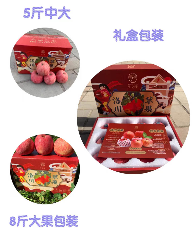 洛川红富士苹果2021219