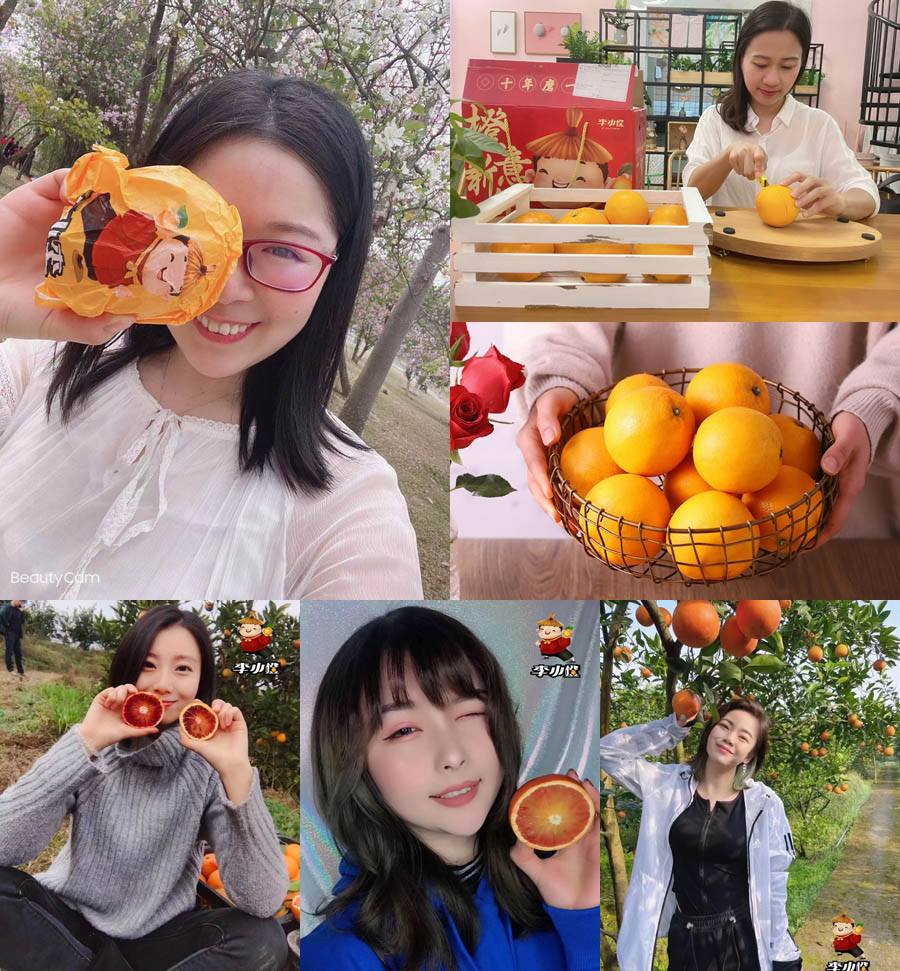 李小橙血橙20210305