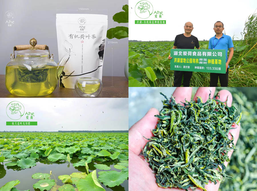 爱荷有机荷花茶叶20210416