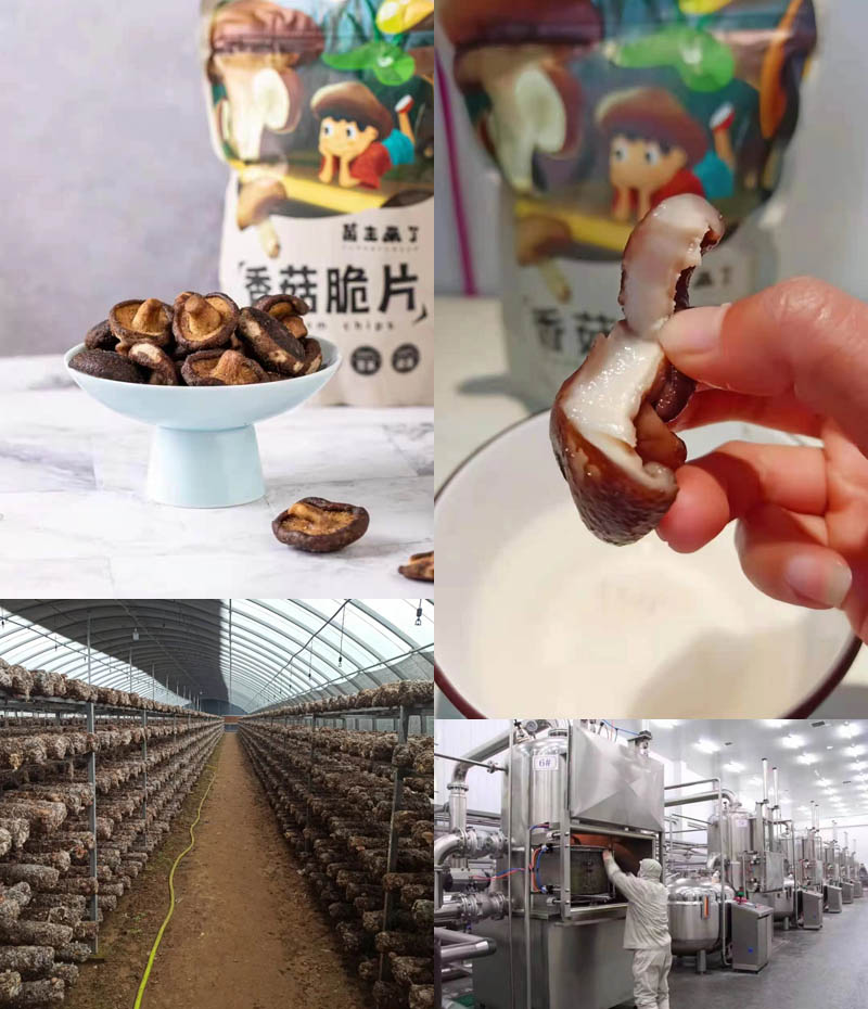 菌主来了香菇脆片 网红零食20210530