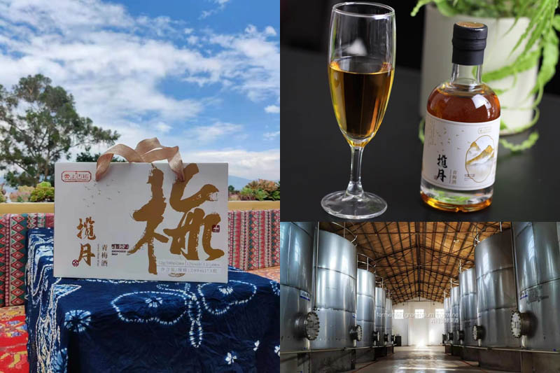 云南大理青梅酒 揽月20210604