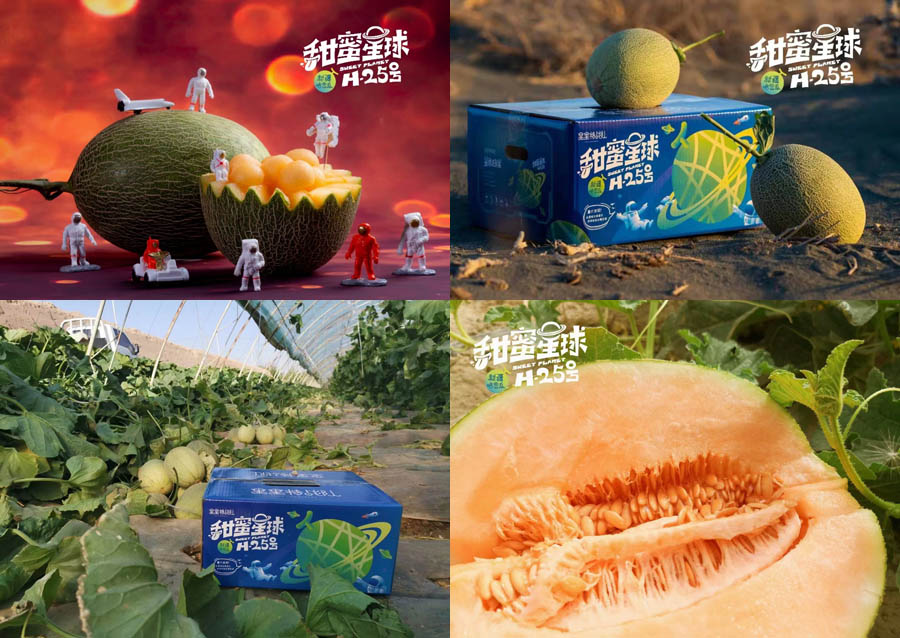 新疆西州蜜25号哈密瓜 甜蜜星球20210509