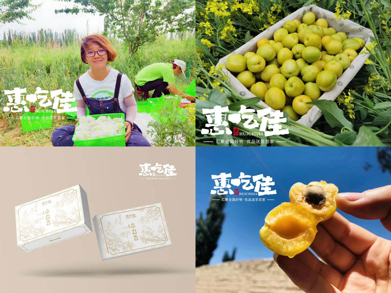 新疆小白杏 惠吃佳20210521