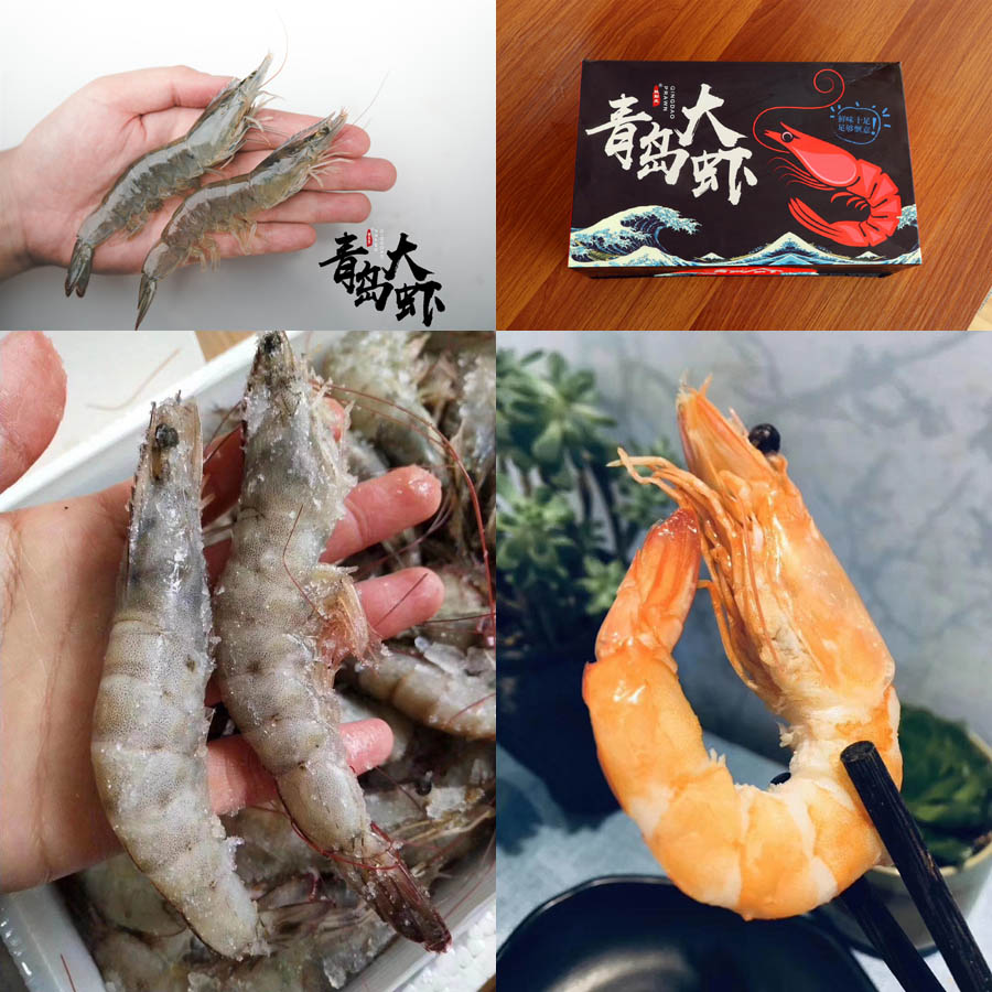 海捕青岛大虾20210522