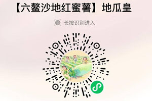 福建六鳌红蜜薯20210715