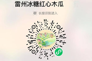 雷州冰糖红心木瓜20210719