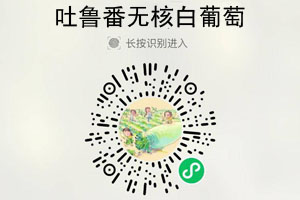 疆小密®吐鲁番无核白葡萄20210720