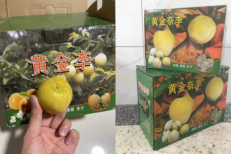 黄金奈李20210722