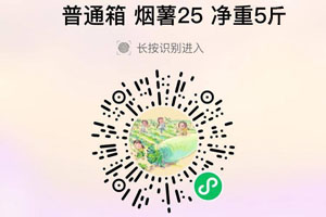 山东烟薯25号普通箱装20210731