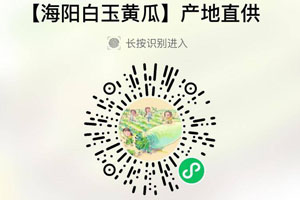 海阳白玉黄瓜20210825
