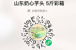 山东奶心小芋头20210830