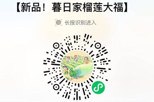 暮日家榴莲大福20210806